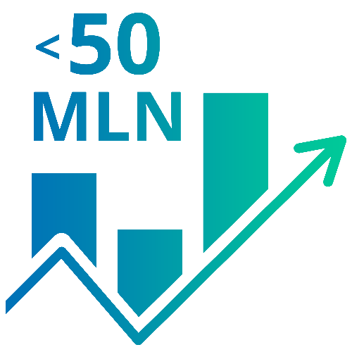 Automatyzujemy przychody firmy